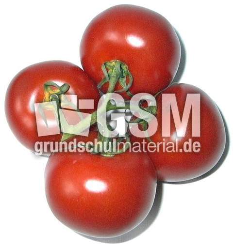 Strauchtomaten-4.jpg